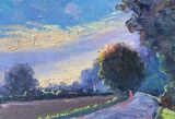 No 171. Low Sun