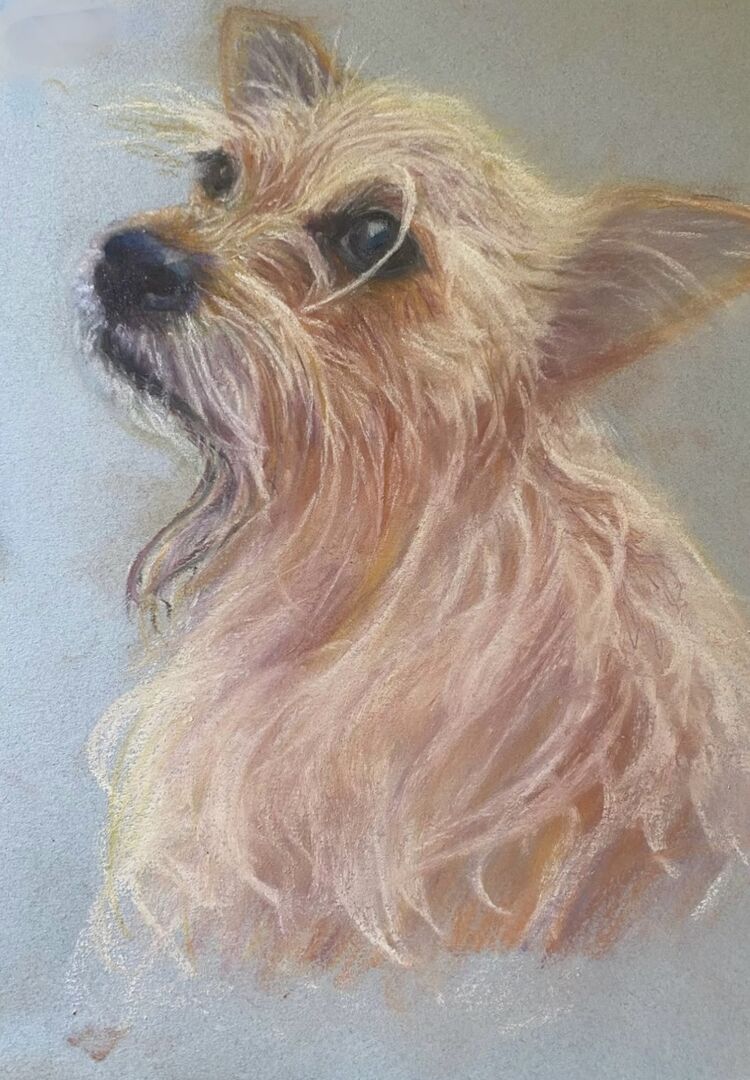 Tilly