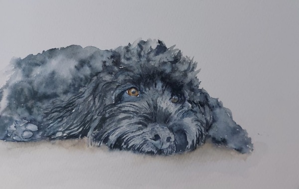 HOW TO COMMISSION A PET/ANIMAL PORTRAIT