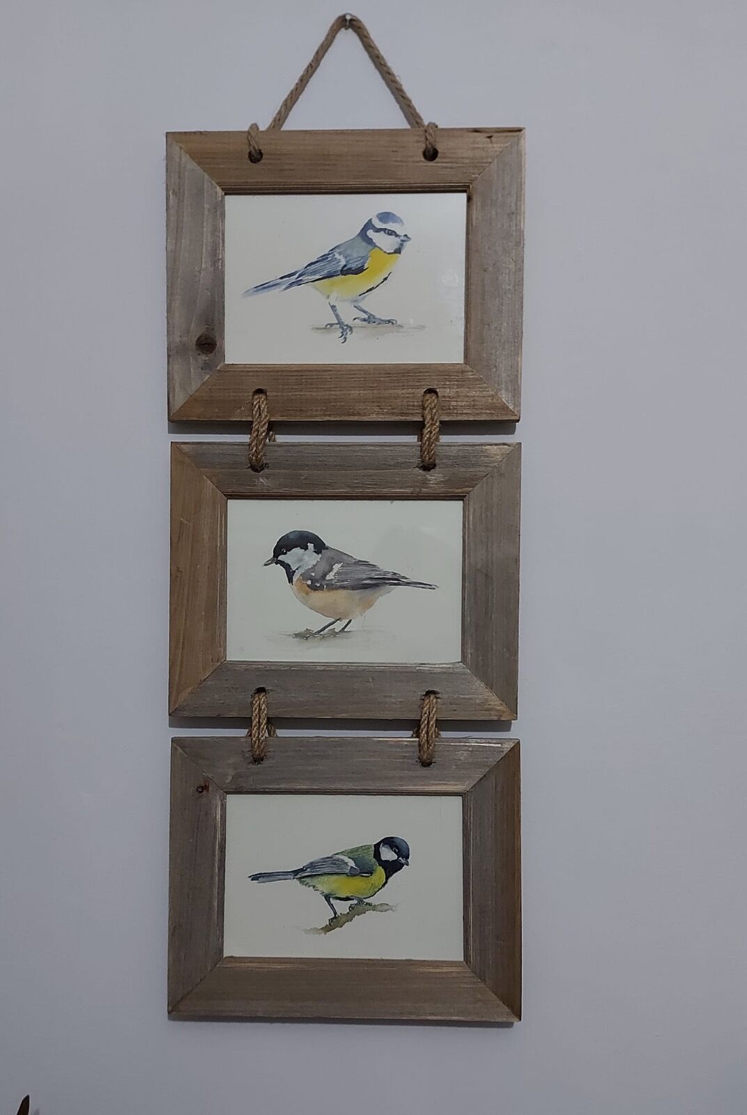 7x5" British bird watercolours