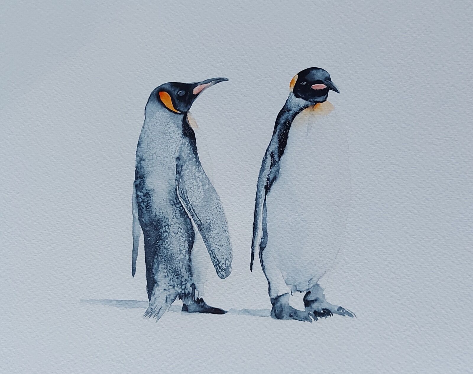 Penguins