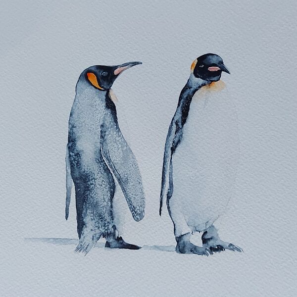 Penguins