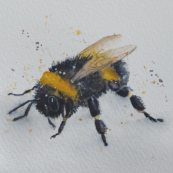 Bee watercolour - SOLD