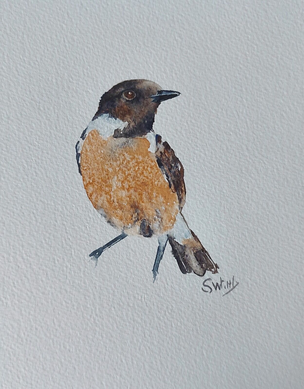 Stonechat