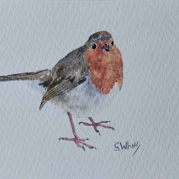 Another robin