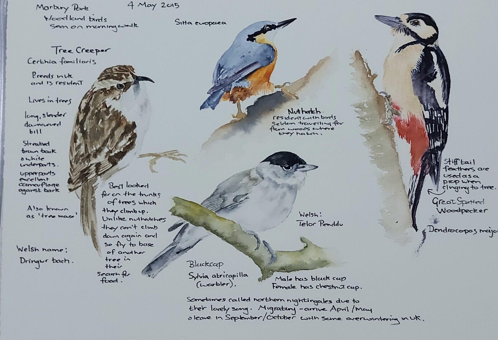 Woodland Birds 2 - SOLD