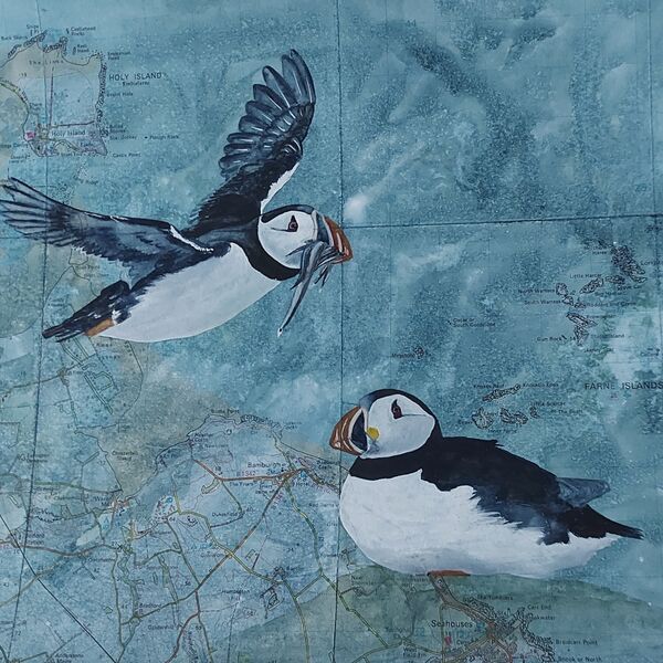 Farne Island Puffins - commissioned piece