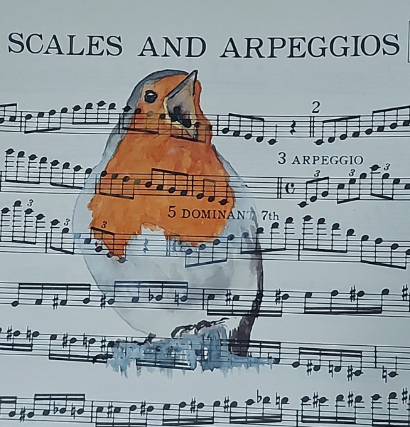 MUSICAL BIRDS