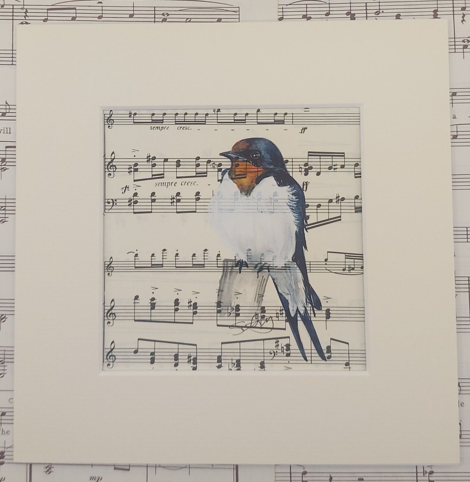 Swallow