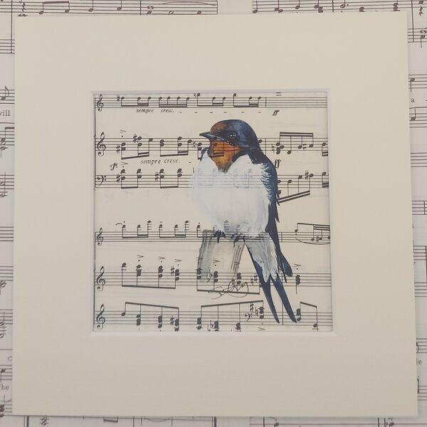 Swallow