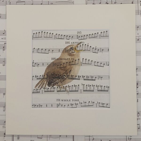 Wren