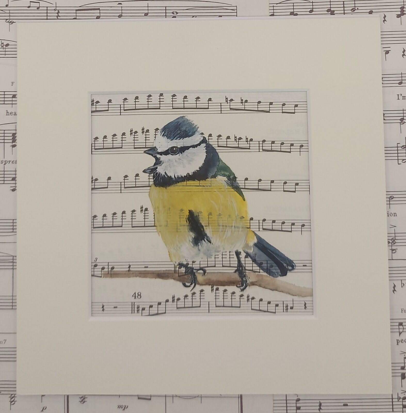Blue Tit