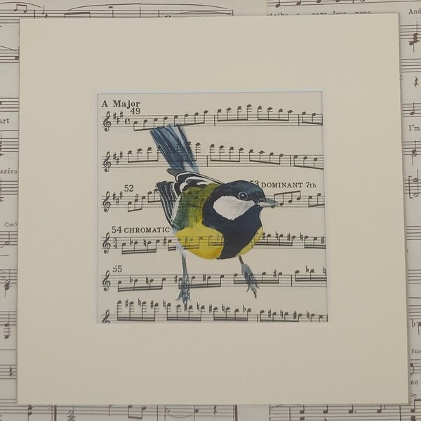 Great Tit