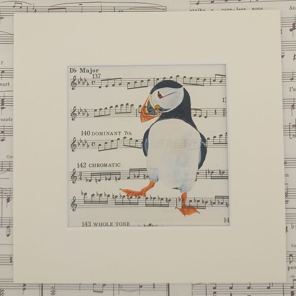 Puffin