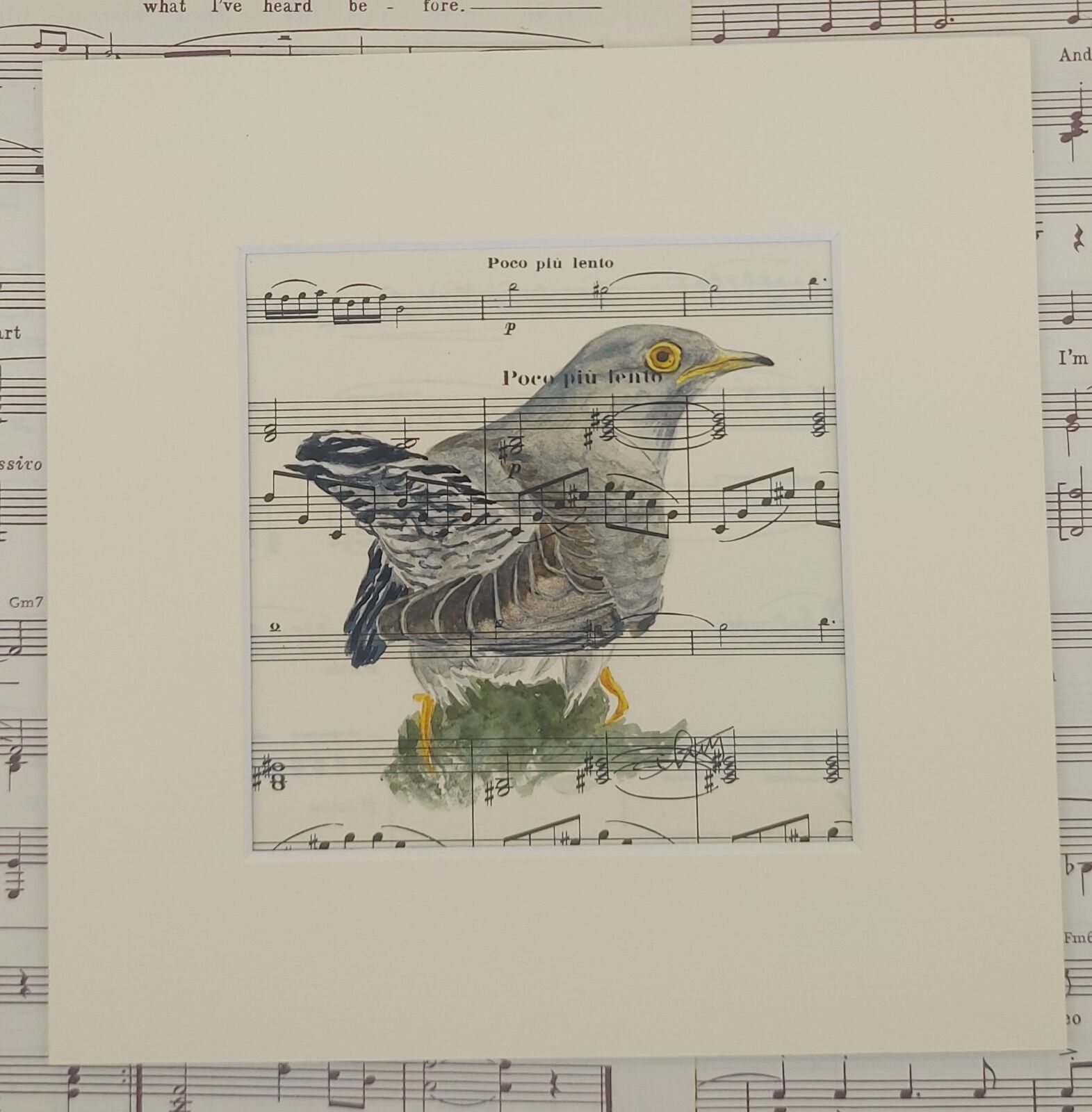 Cuckoo
