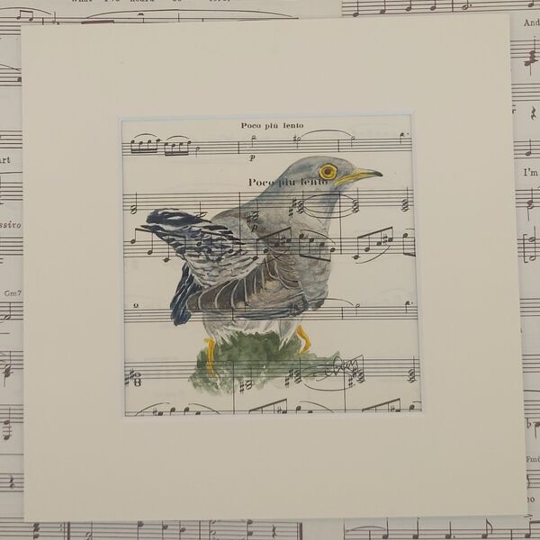 Cuckoo