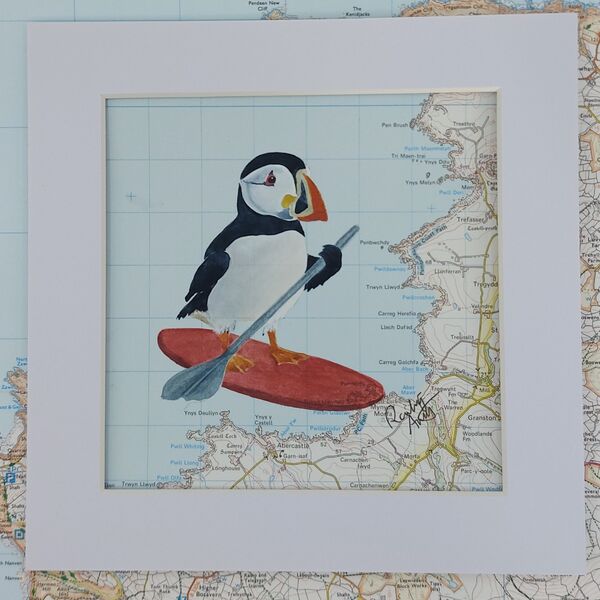 Paddleboarding Puffin in Pembrokeshire