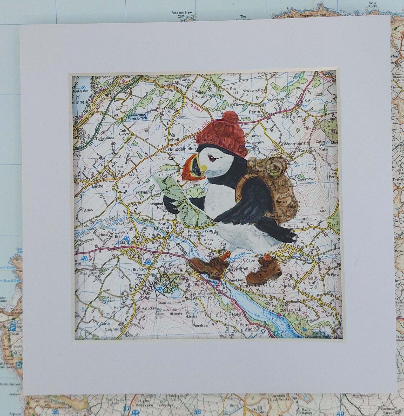 Rambling Puffin in North Wales