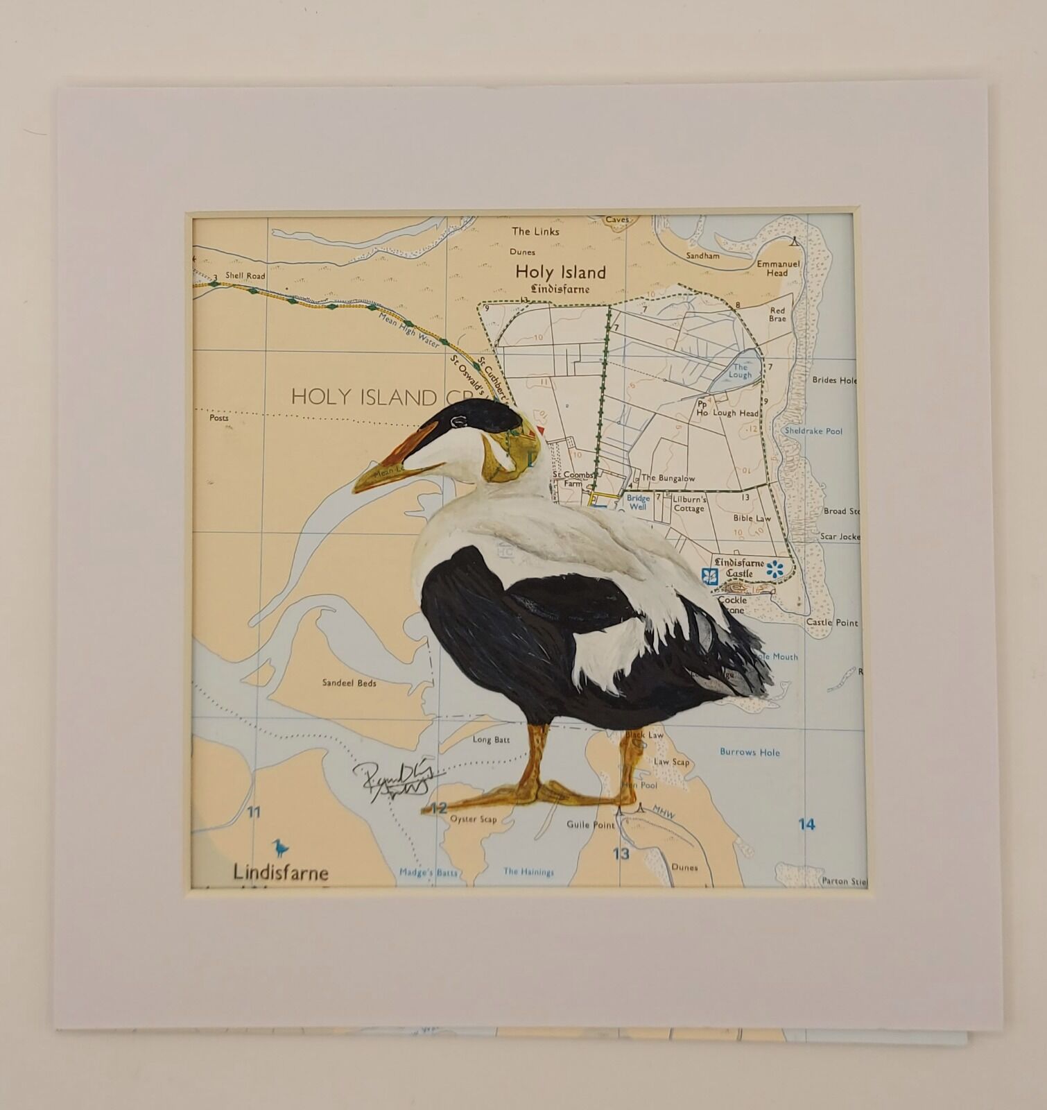 The Eider Duck of Lindisfarne - £60