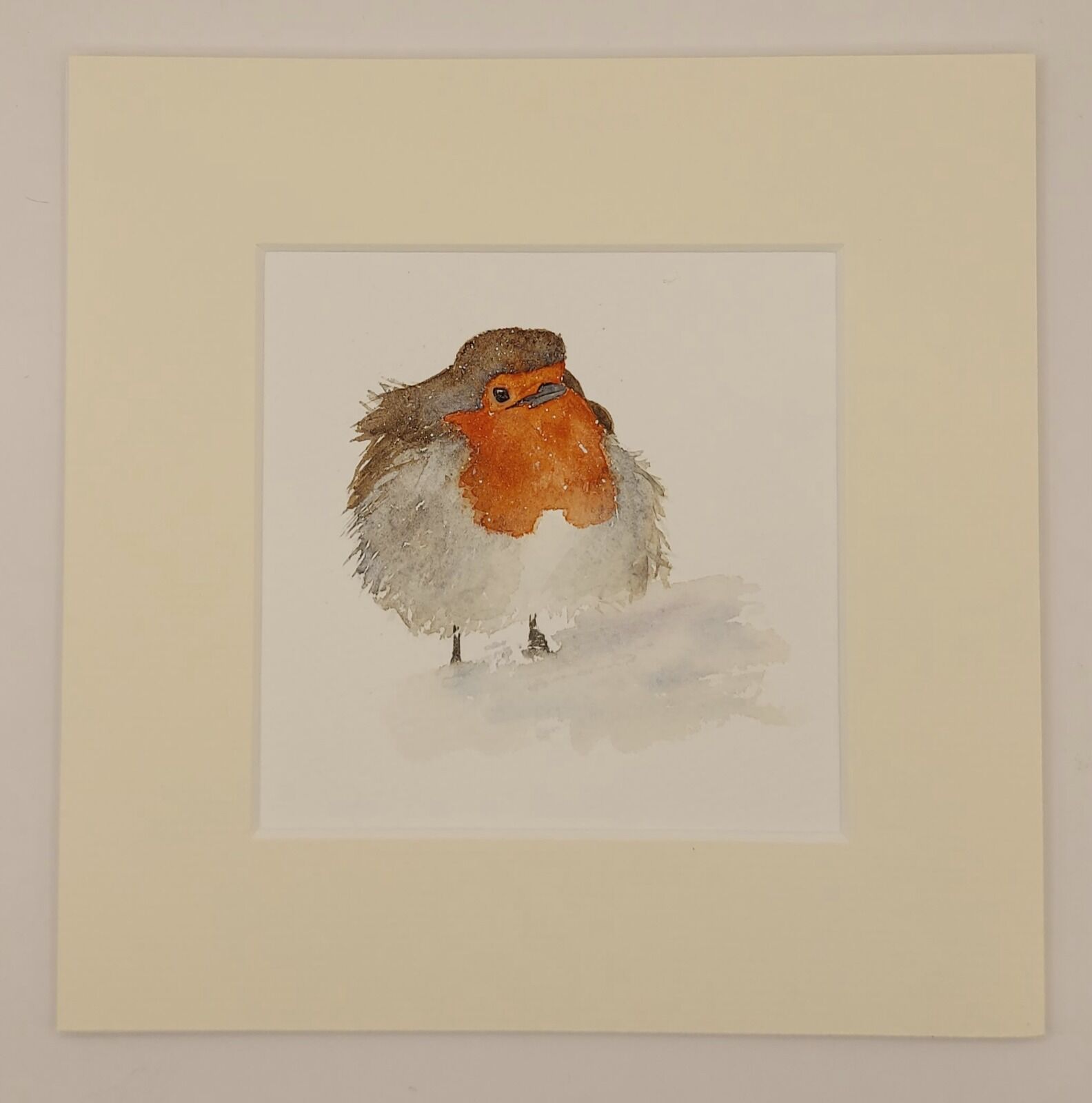 Robin £75