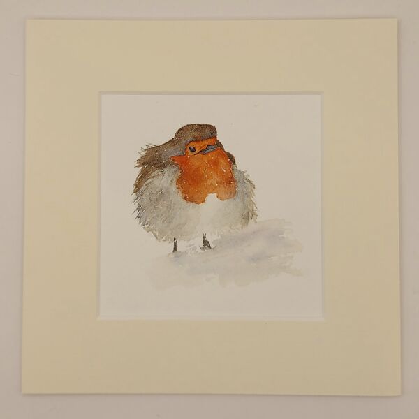 Robin £75