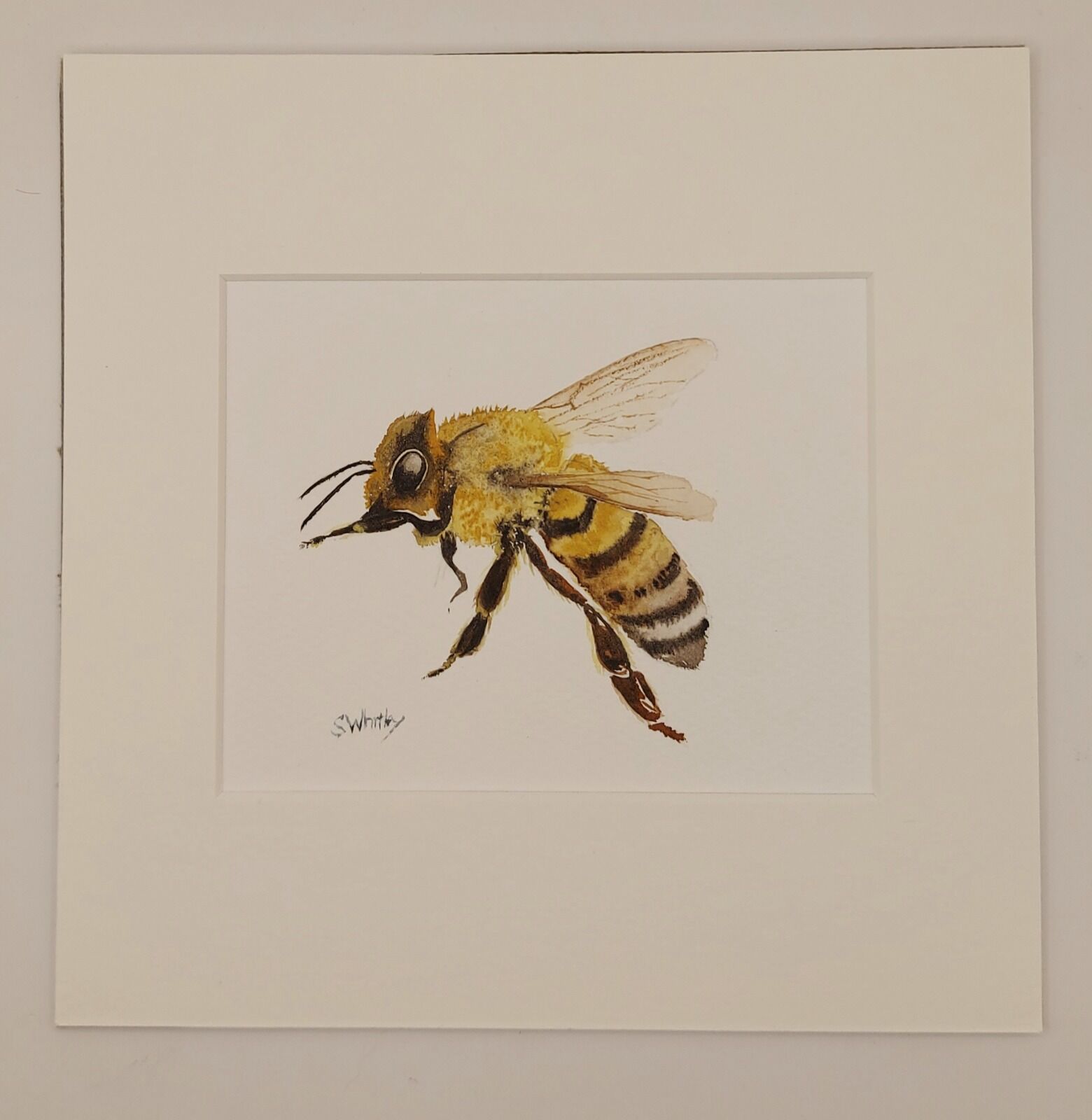 Honey Bee £75