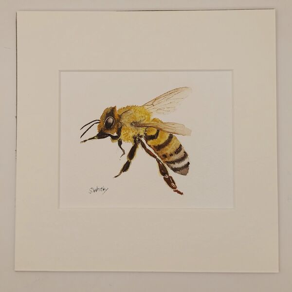 Honey Bee £75