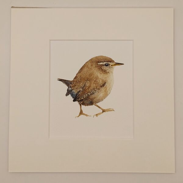 Wren £75