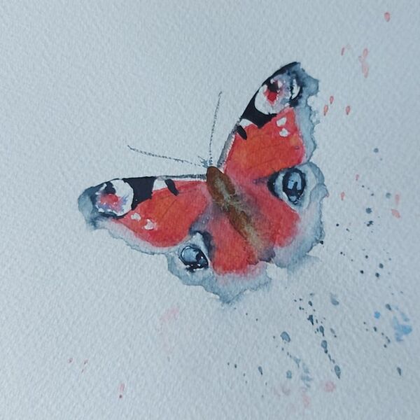 Peacock Butterfly / Pila pala paun? (Scientific name - Inachis io)