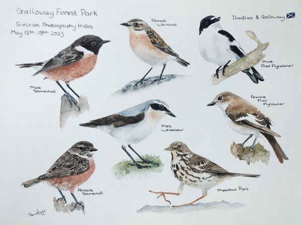 WILDLIFE JOURNALS