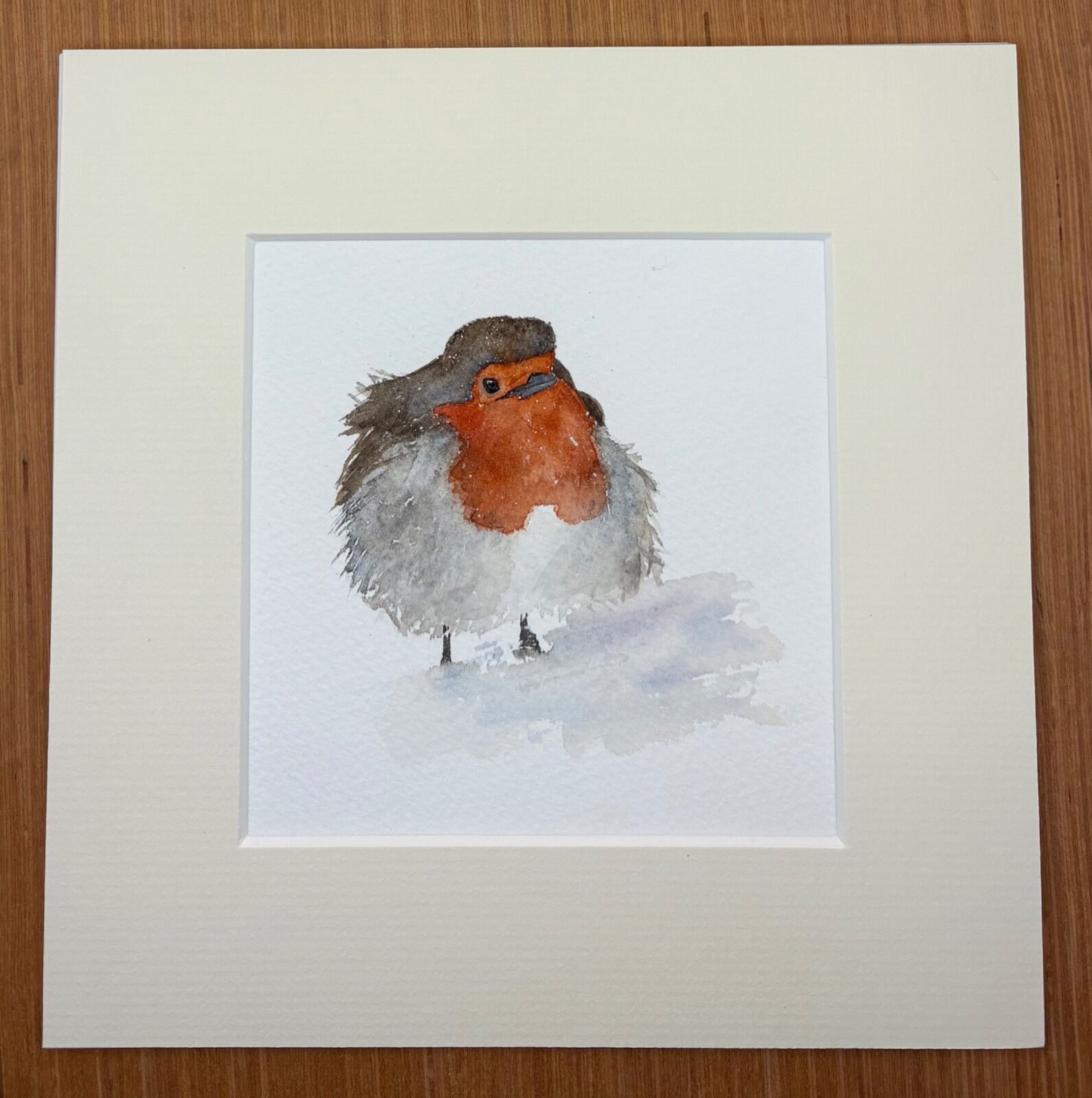 Winter robin