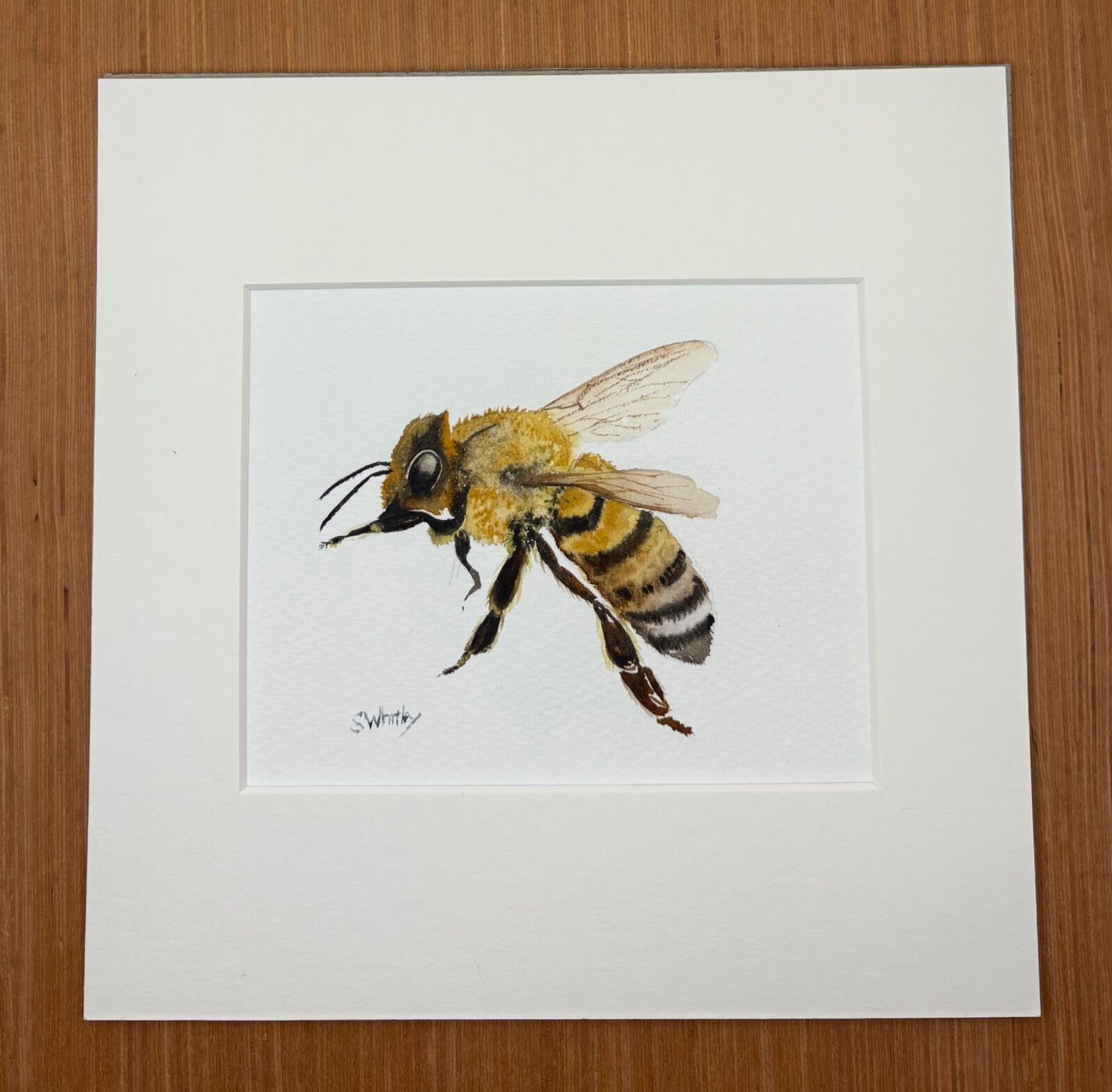 Honey Bee