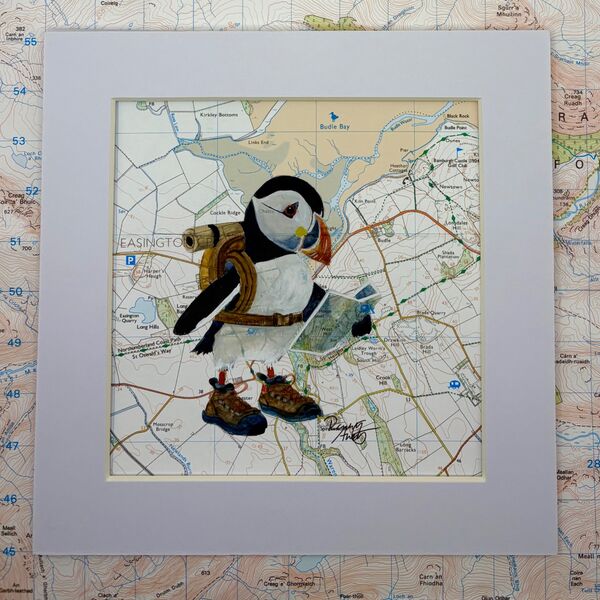 Hiking the Northumberland Coast (Budle Bay)