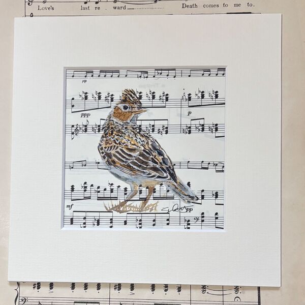 Skylark - sold