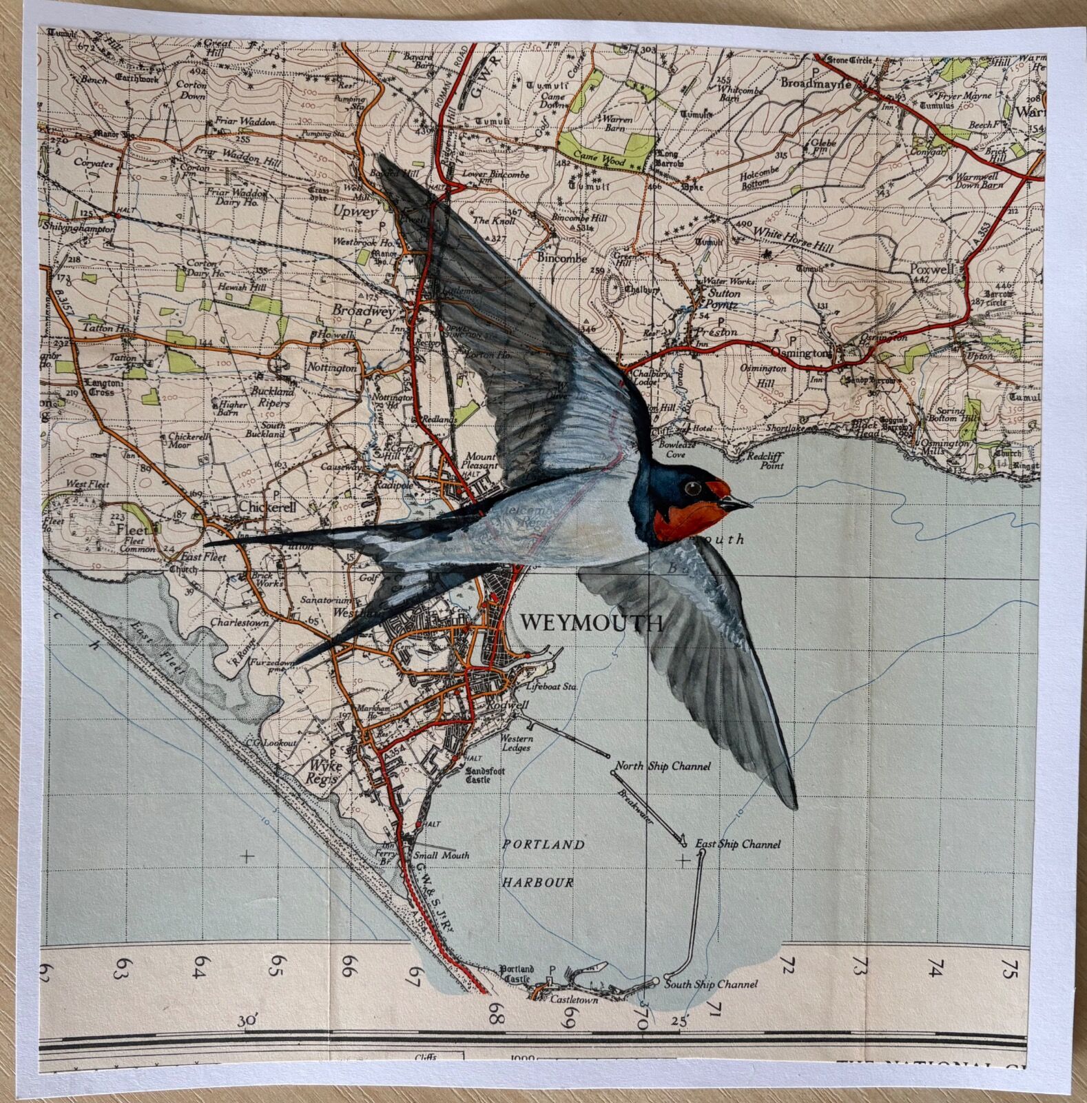 Safe journey little swallow