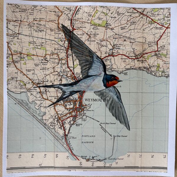 Safe journey little swallow