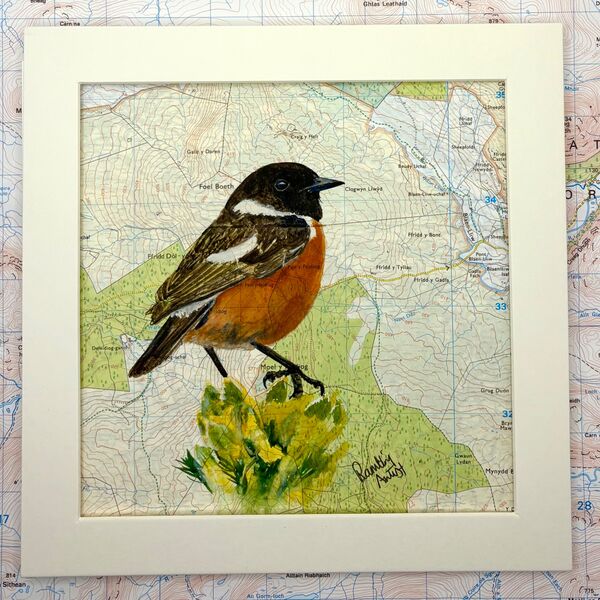 Stonechat
