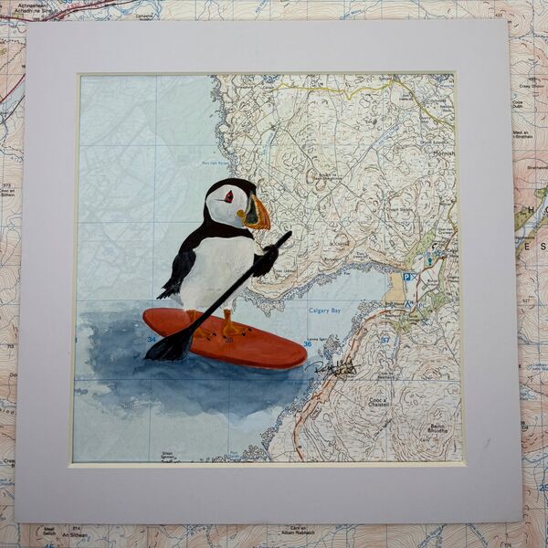 Paddle boarding at Calgary Bay