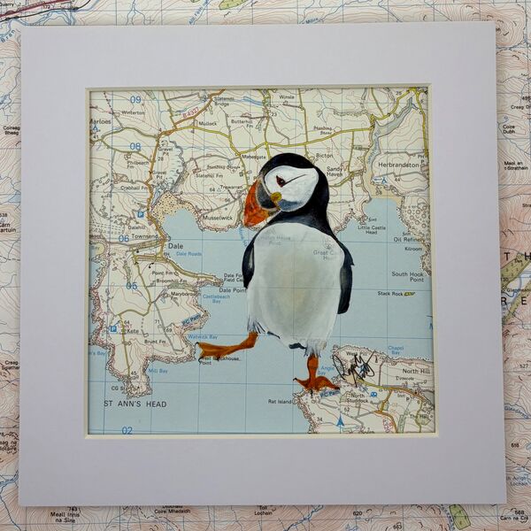 Pembrokeshire Puffin