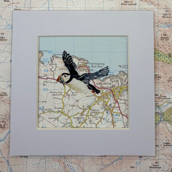 Anglesey Puffin - sold