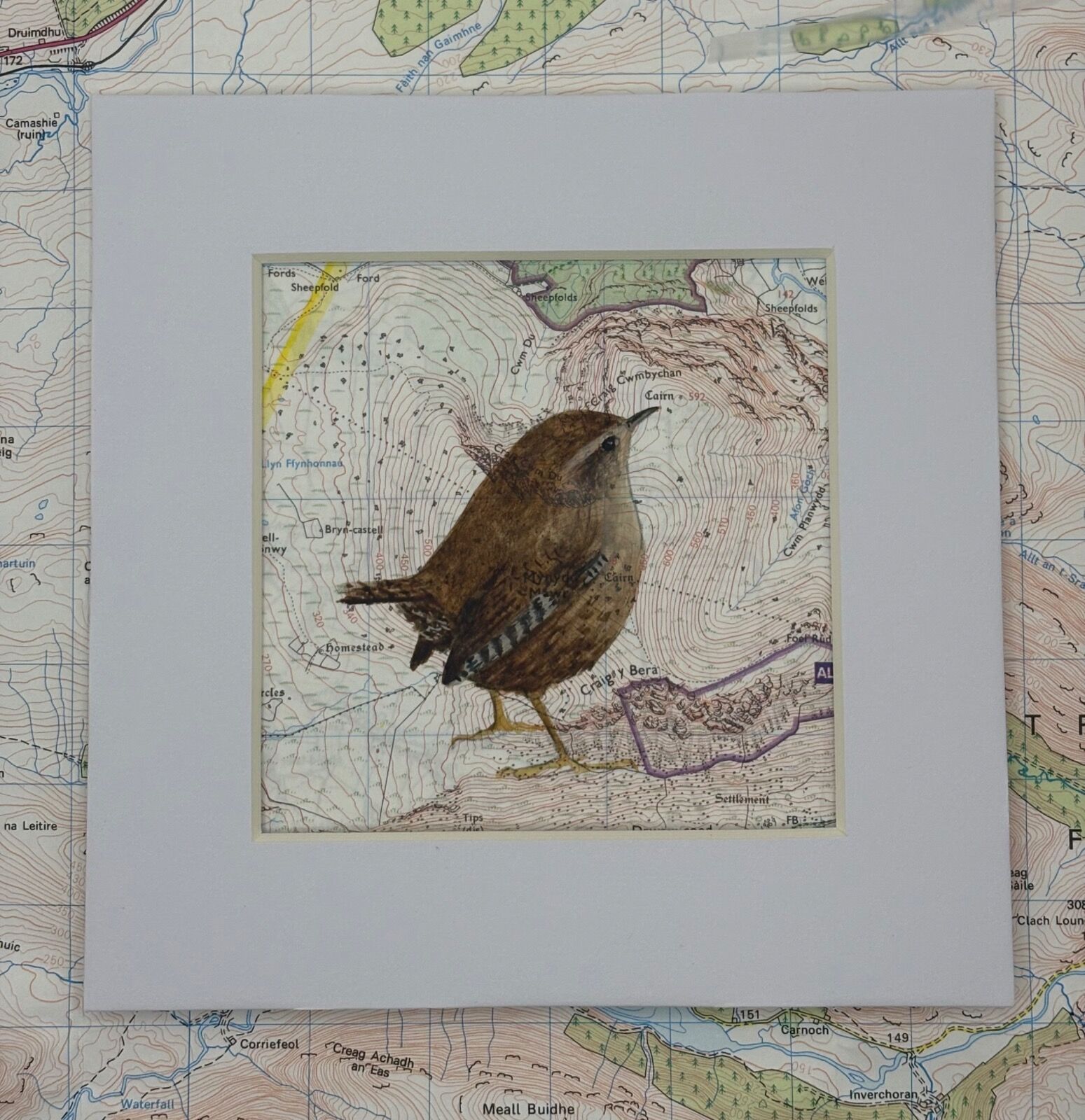 Little Wren 2