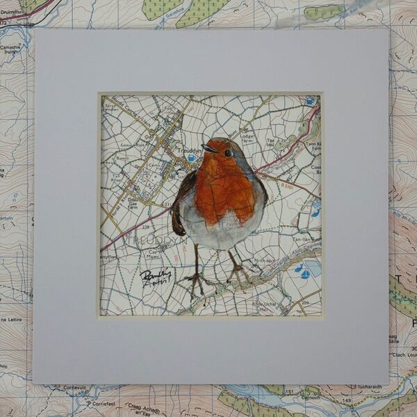 Robin 1 - sold