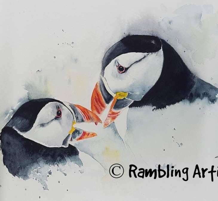Puffin Love