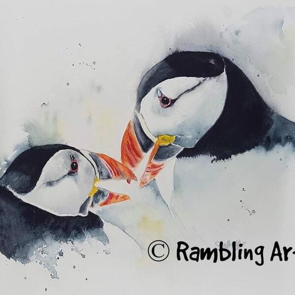 Puffin Love