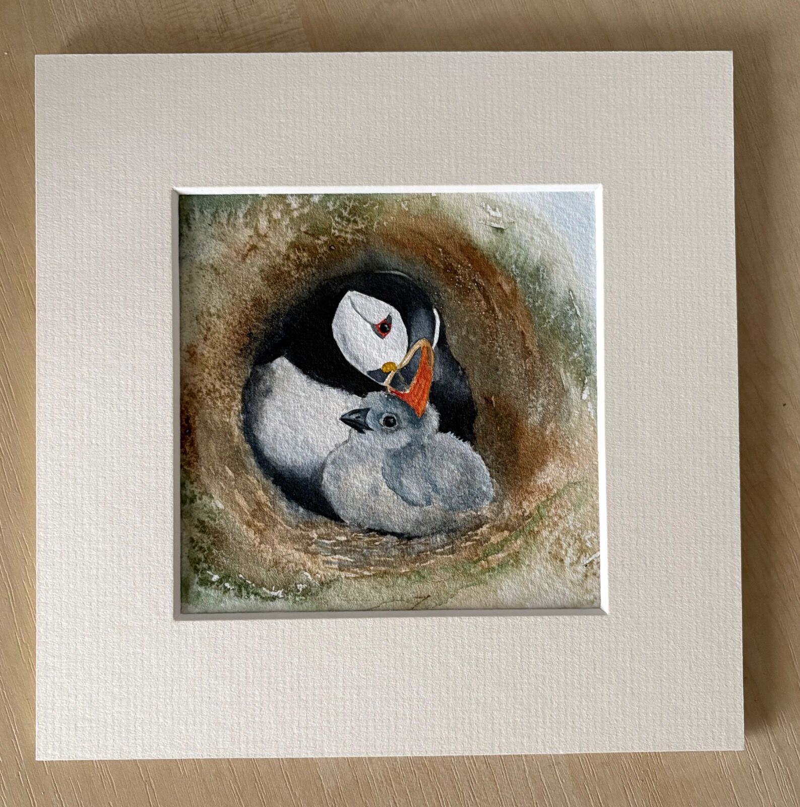 Puffin mum and baby puffling