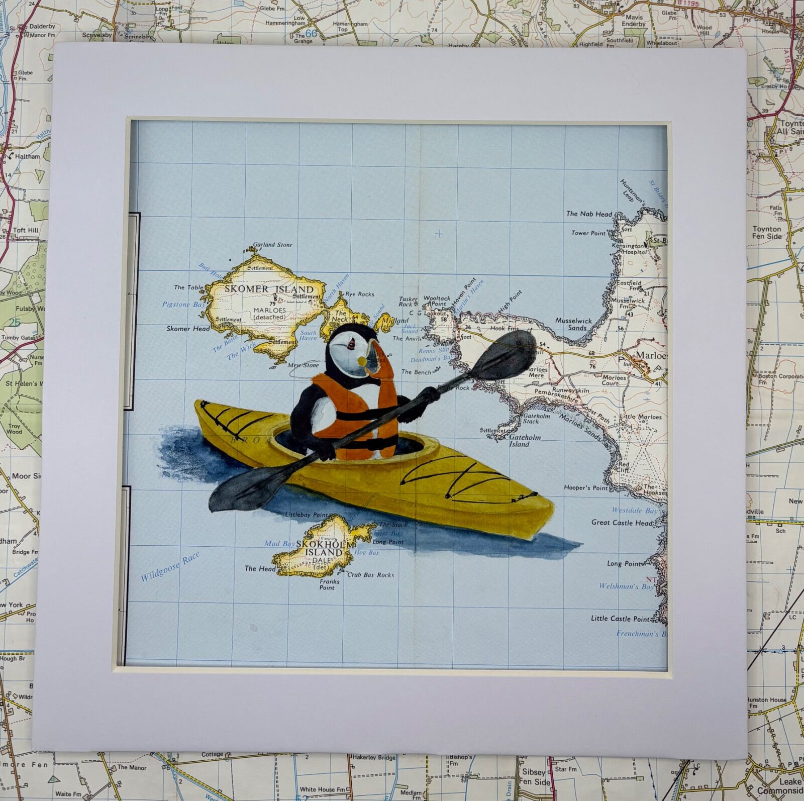 Kayaking Puffin - Skomer island