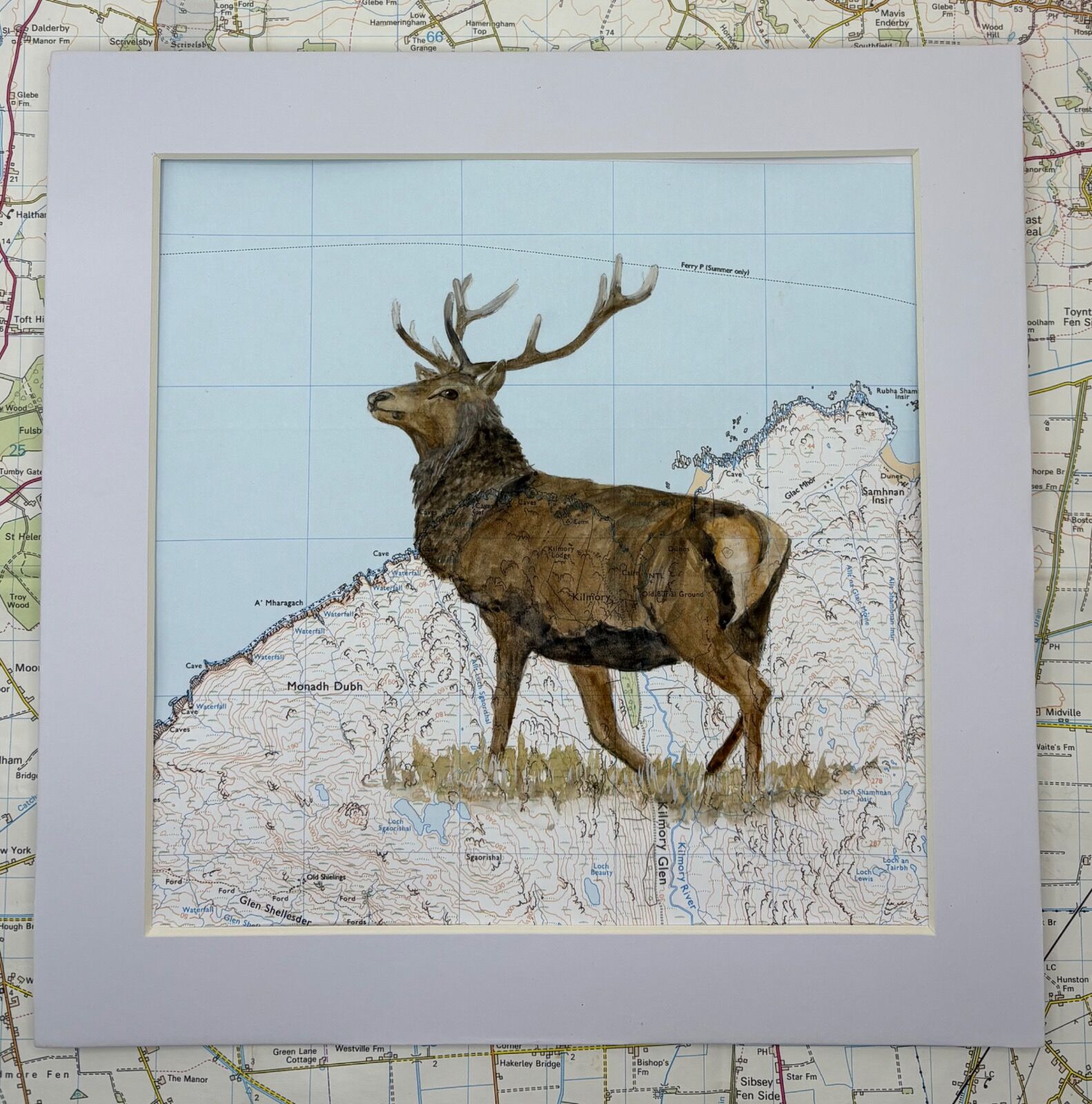 Wild Resident of Rum