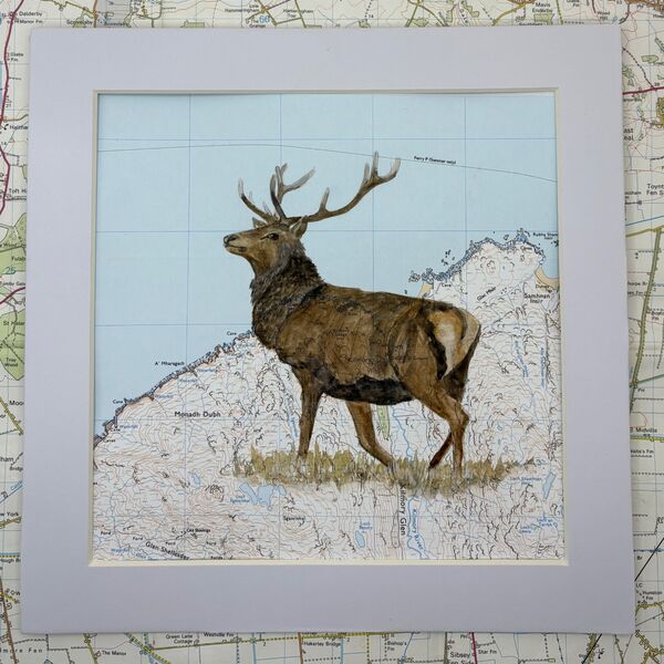 Wild Resident of Rum