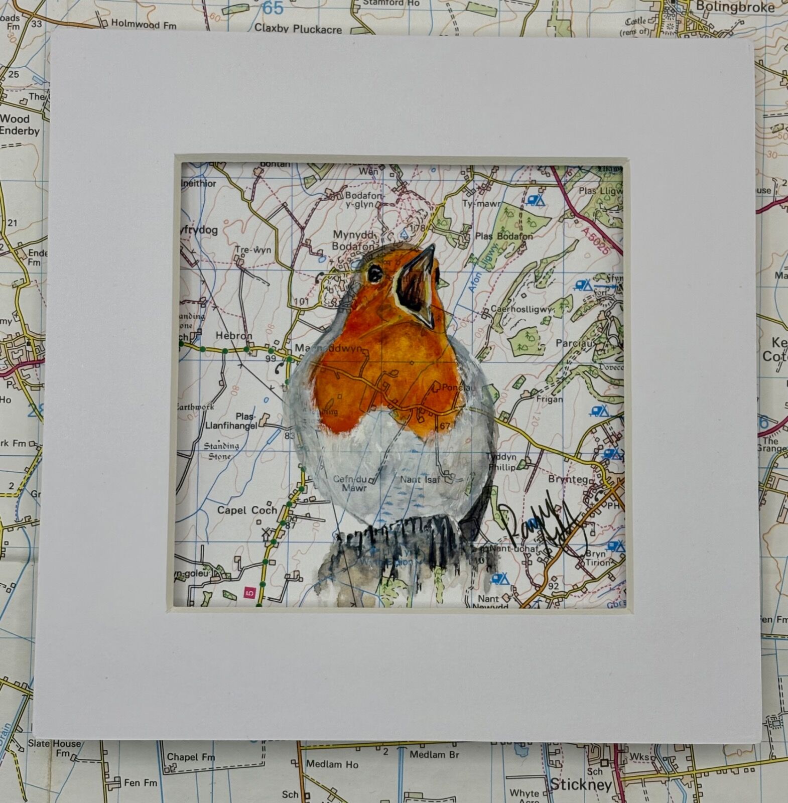 WHERE ROBINS ROAM - MYNYDD BODAFON, YNYS MON