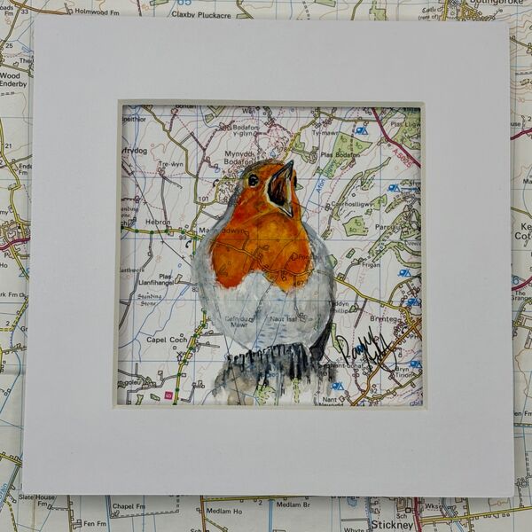 WHERE ROBINS ROAM - MYNYDD BODAFON, YNYS MON